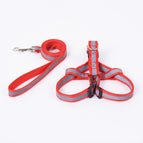 Red-flat rope