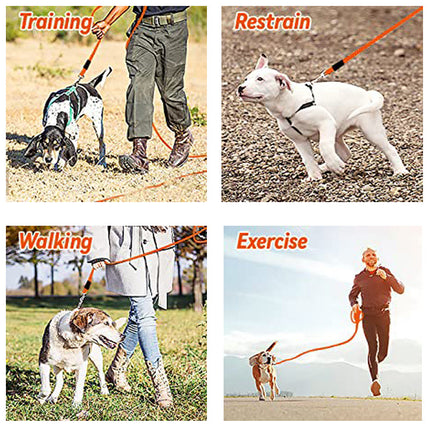 Dog leash, Recall Training Dog Leash for Small Medium and Large Dogs