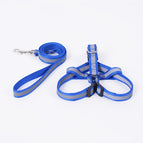 Blue-flat rope