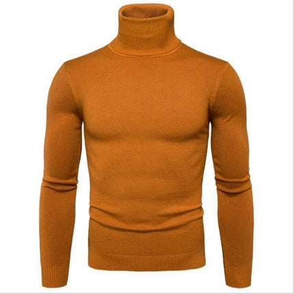 Turtle Collar Men's Sweater Slim Warm Lightweight Long Sleeve Turtleneck Pullover