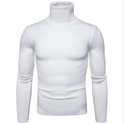 Turtle Collar Men's Sweater Slim Warm Lightweight Long Sleeve Turtleneck Pullover