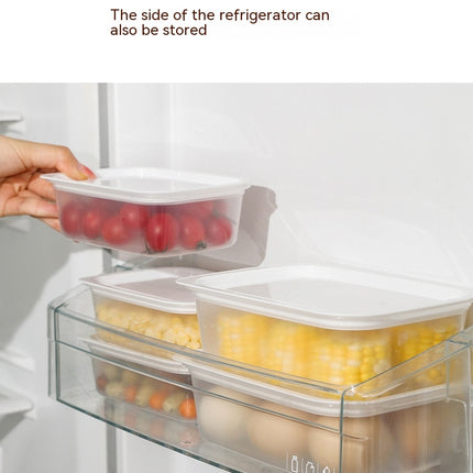 BPA-Free Plastic Sealed Plastic Fresh Keeping Refrigerator Containers With Lids