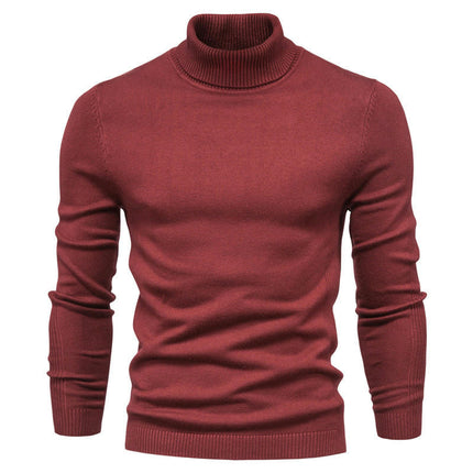 Mens Slim Fit Turtleneck Sweater Knitted Pullover Sweaters Solid Color Casual Knit Sweater