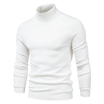 Mens Slim Fit Turtleneck Sweater Knitted Pullover Sweaters Solid Color Casual Knit Sweater