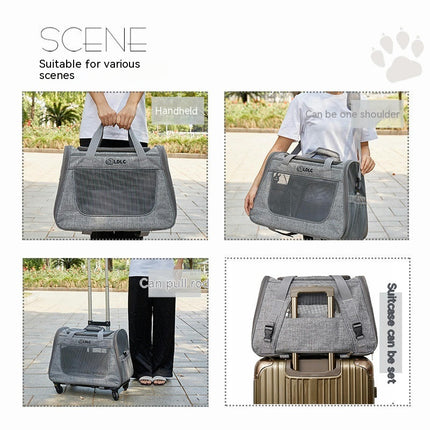 Pet Carrier Airline Approved, Cat Carriers for Medium Cats Small Cats, Soft Dog Carriers for Small Dogs Medium Dogs