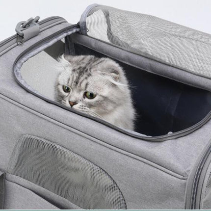 Top loading cat carrier for medium sized cats and small dogs. Foldable, escape-proof, automatic safety