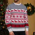 White Christmas sweater (male)