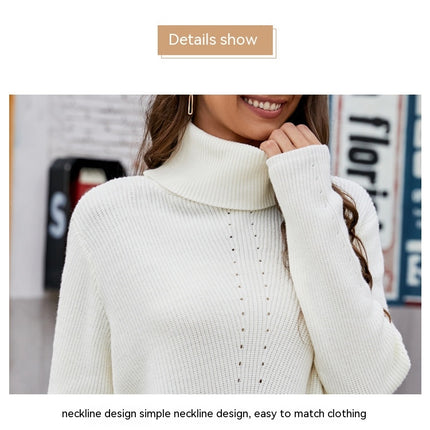 Women Turtleneck Sweater High Neck Long Sleeve Knit Pullover Sweater Casual Solid Color Loose Jumper Top