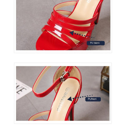 Women's High Heel Platform Peep Toe Dress Pump Sandals