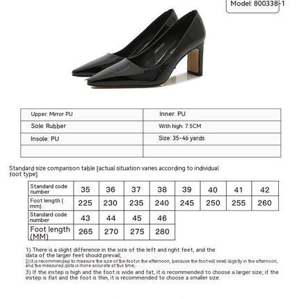 Closed Pointed Toe Chunky Block Heel Pumps High Heels for Women