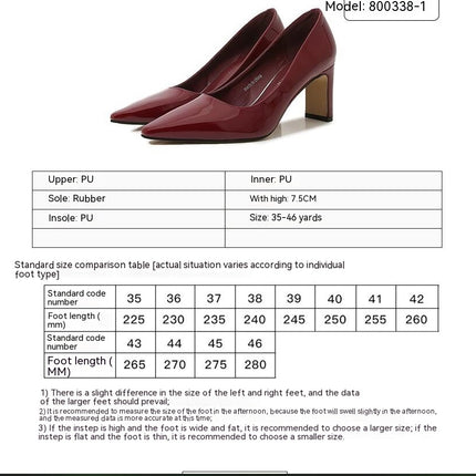 Women's Closed Pointed Toe High Heels Dress Chunky Block Pump Shoes