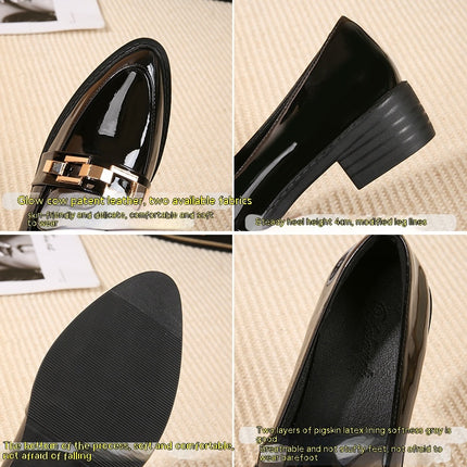 Women's Pointed Toe Chunky Low Heel Slip on Pumps