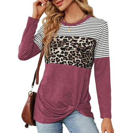 Women's Casual Crew Neck T-Shirts Long Sleeve Tops Loose Tunic Blouses