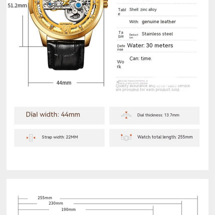 Men's Mechanical Wristwatch with Skeleton Design Leather Band Watch