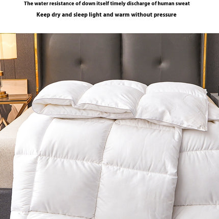 Quilt Goose Feathers Down Comforter Duvet Quilt-Soft All Season Down Comforter Fluffy Warmth