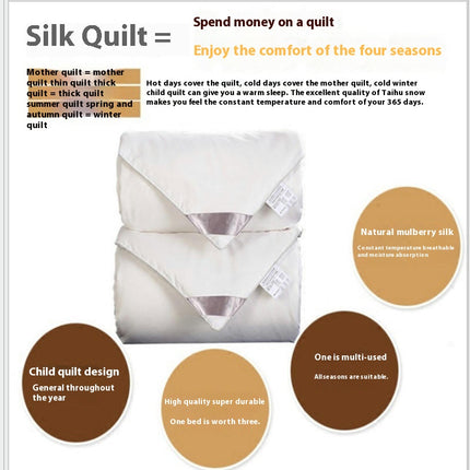 Winter Warm Quilt,Comforter Silk Comforter Ultra Soft Bedding for All Seasons King Comforter