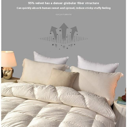 Winter Warm Quilt Soft Duvet Insert-Lightweight Down Alternative Comforter-Fluffy & Breathable