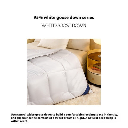 Warm Winter Comforter Cotton Quilted Down Comforter-Goose Down Feather Duvet Quilt For All Season 1