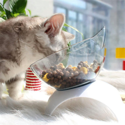 Cat Raised Stand Feeding Bowl Transparent Plastic Pet Food Water Feeder Bowl 15 Degree Tilted Design Neck Guard for Cats Dogs