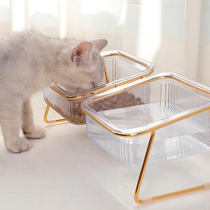 Transparent Cat Bowl with Raised Stand - Slanted Neck Protection for Drinking and Feeding - Easy to Clean Dual Iron Bowls