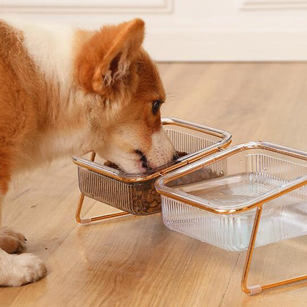 Transparent Cat Bowl with Raised Stand - Slanted Neck Protection for Drinking and Feeding - Easy to Clean Dual Iron Bowls