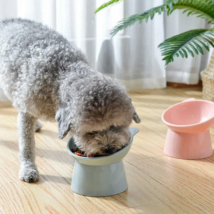 Cat Bowl High Foot Dog Bowl 45degreeNeck Protector Cat Pet Food Water Bowl Pet Feeding Cup Pet Feeder Bowl