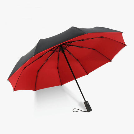 Automatic Folding Windproof Umbrella- Travel Umbrellas Compact for Portable Car Umbrella