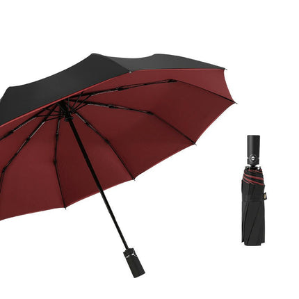 Automatic Folding Windproof Umbrella- Travel Umbrellas Compact for Portable Car Umbrella