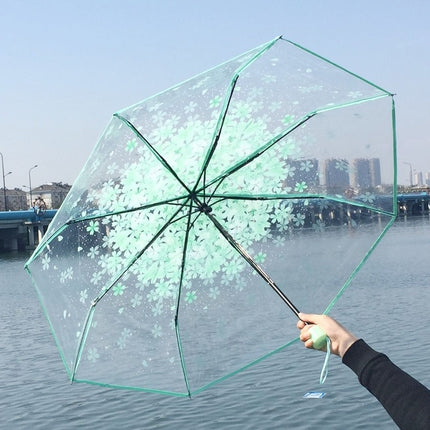 Clear Umbrella,Portable Transparent Three Folds Folding Rain Umbrella for Compact Umbrellas