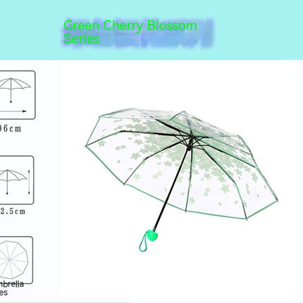 Clear Umbrella,Portable Transparent Three Folds Folding Rain Umbrella for Compact Umbrellas