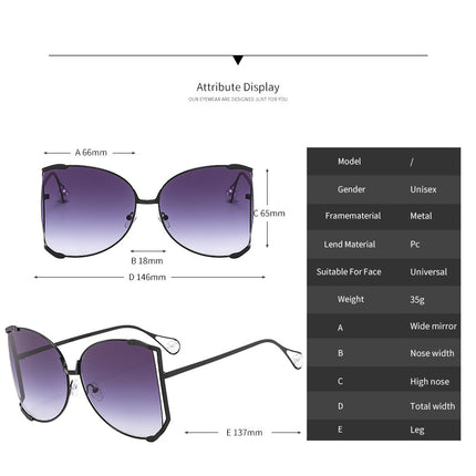 Sunglasses for Women Metal Frame Sun Glasses Oversized Style Sunglasses for Outdoor