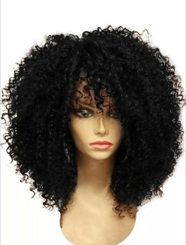 Wig Short Hair Ladies Black Short Curly Hair African Curly Hair Human Hair Wigs for Women