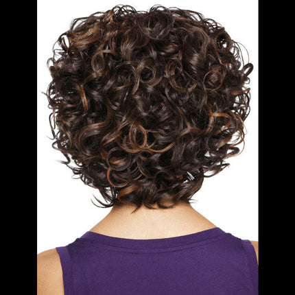 Short Curly Bob Hair Wigs for Women's Short Hair Lace Front Wigs, Wigs with Synthetic Wigs for Women