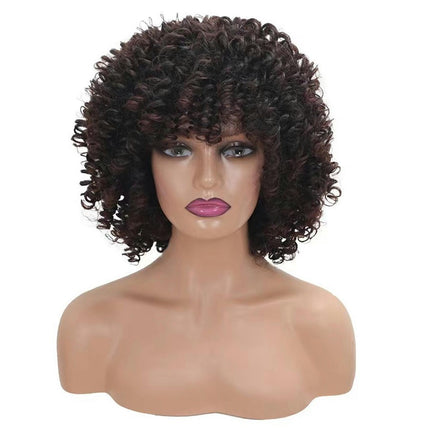 Short Kinky Curly Wig Synthetic Afro Curly Hair Wigs for Black Woman Wig for Daily Natural Wigs