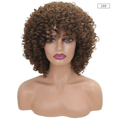 Short Kinky Curly Wig Synthetic Afro Curly Hair Wigs for Black Woman Wig for Daily Natural Wigs