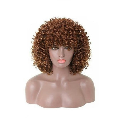 Short Kinky Curly Wig Synthetic Afro Curly Hair Wigs for Black Woman Wig for Daily Natural Wigs