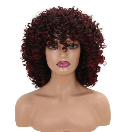 Short Kinky Curly Wig Synthetic Afro Curly Hair Wigs for Black Woman Wig for Daily Natural Wigs