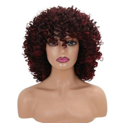 Short Kinky Curly Wig Synthetic Afro Curly Hair Wigs for Black Woman Wig for Daily Natural Wigs