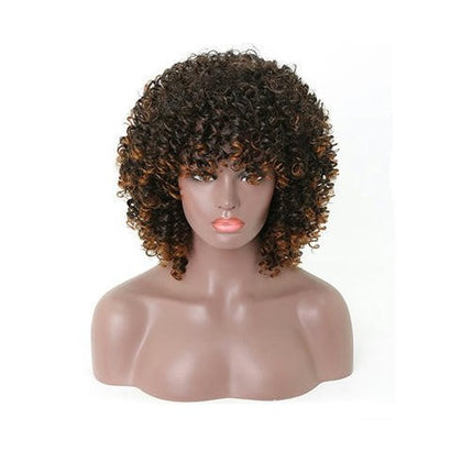 Short Kinky Curly Wig Synthetic Afro Curly Hair Wigs for Black Woman Wig for Daily Natural Wigs