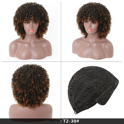 Short Kinky Curly Wig Synthetic Afro Curly Hair Wigs for Black Woman Wig for Daily Natural Wigs