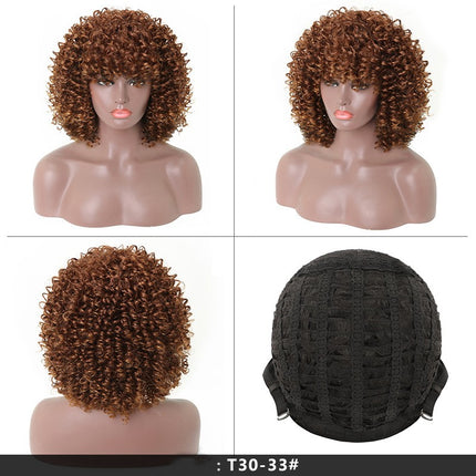 Short Kinky Curly Wig Synthetic Afro Curly Hair Wigs for Black Woman Wig for Daily Natural Wigs