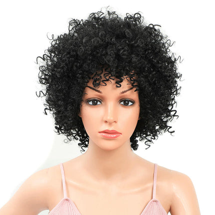 Curly Wigs for Women Afro Curly Wig Natural Synthetic Wigs African Curly Short Wigs