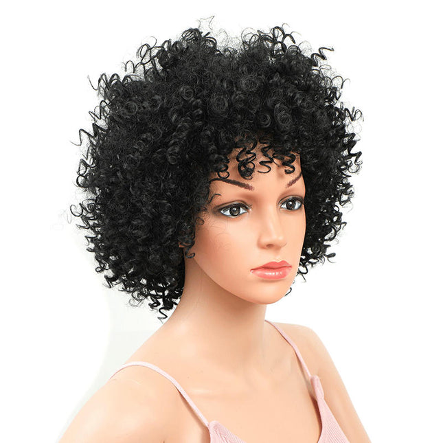 Curly Wigs for Women Afro Curly Wig Natural Synthetic Wigs African Curly Short Wigs