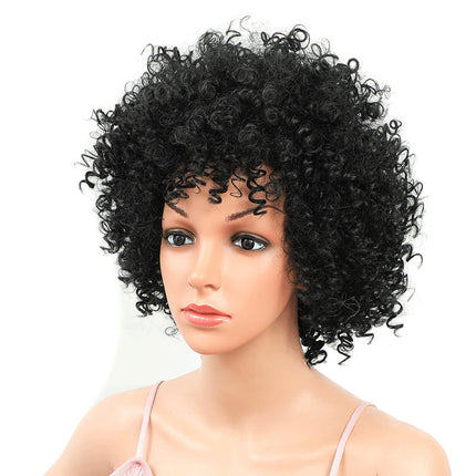 Curly Wigs for Women Afro Curly Wig Natural Synthetic Wigs African Curly Short Wigs