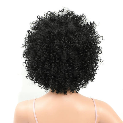 Curly Wigs for Women Afro Curly Wig Natural Synthetic Wigs African Curly Short Wigs