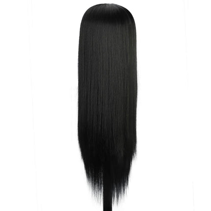 Lace Front Wig for Women Long Straight Hair Wigs Natural Straight Black Lace Wigs with Pre