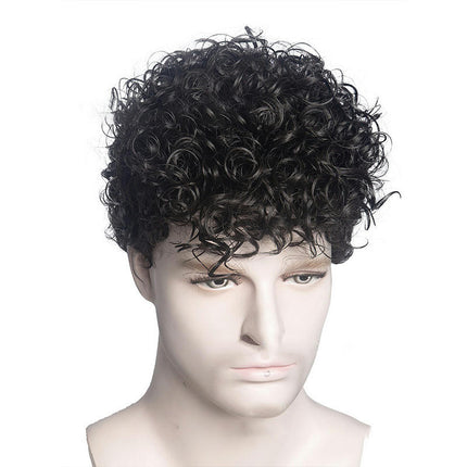 Lace Wig,Wigs for Men, Fluffy Short Curly Men's Wigs Natural Wigs for Everyday Cosplay