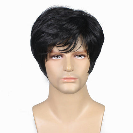 Men's Wigs for Fluffy Short Hair Short Straight Short Curly Hair Synthetic Wigs with Bangs for Men