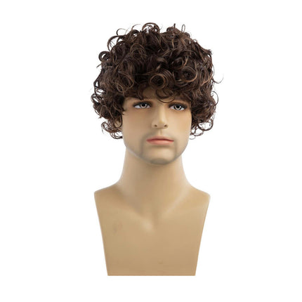 Wigs for Fluffy Short Wig Brown Curly Mens Wigs with Bangs Synthetic Hair Natural Wigs for Men