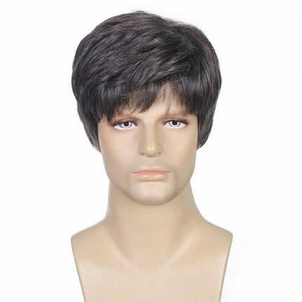 Men's Wigs for Fluffy Short Hair Short Straight Short Curly Hair Synthetic Wigs with Bangs for Men